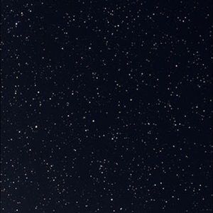 Meet your Posher, Elvis